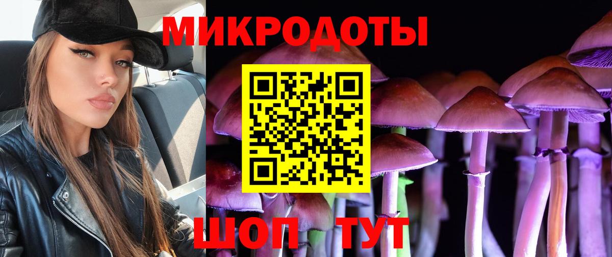 Галлюциногенные грибы Cubensis Миасс